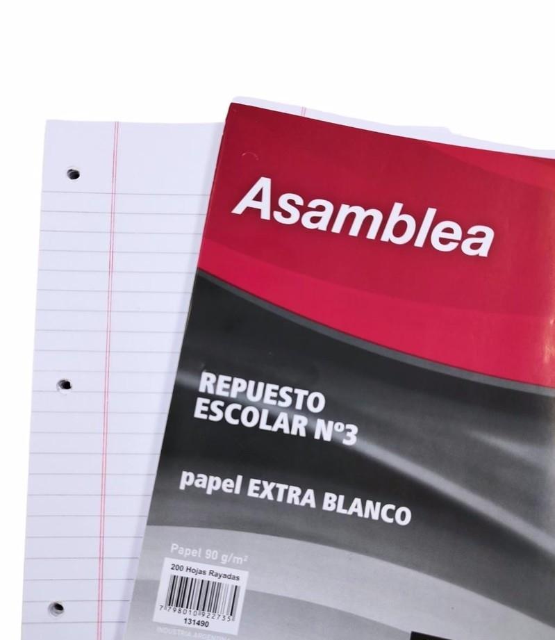 RENA.REPUESTO ASAMBLEA 48H.90GR. RAYADO NLREP0006 (131488)