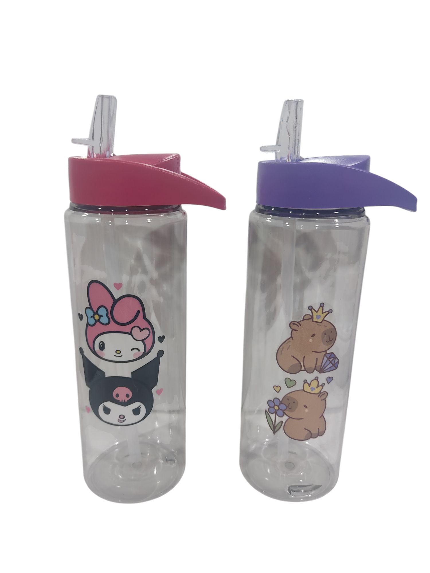 SUB.BOTELLAS DEPORTIVA 750CC CAPIBARA / KUROMI