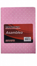 CUADERNOS ASAMBLEA LUNARES 16X21 ROSA 50HJS