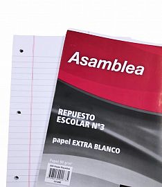 RENA.REPUESTO ASAMBLEA 48H.90GR. RAYADO NLREP0006 (131488)